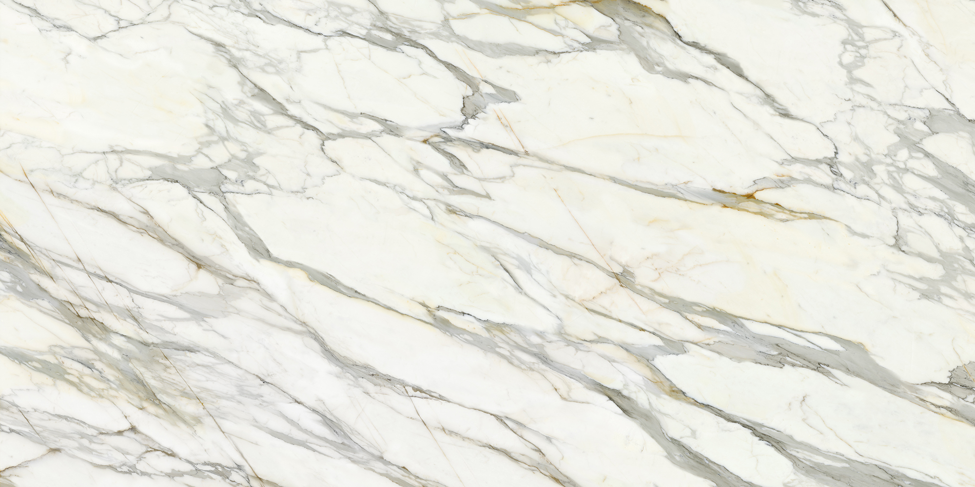 NOBILITA Porcelain Calacatta Borghini