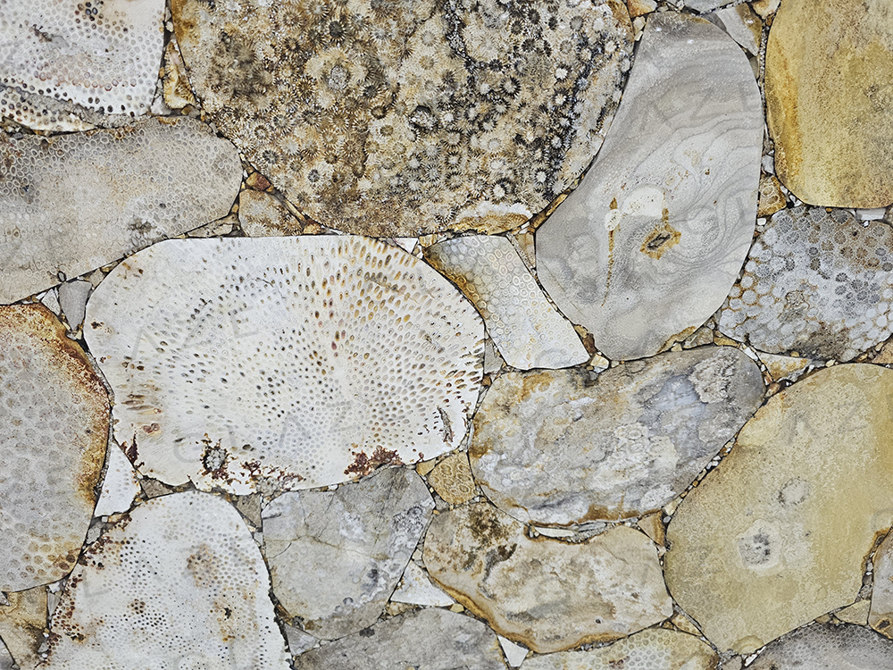Precious Stone CORAL REEF