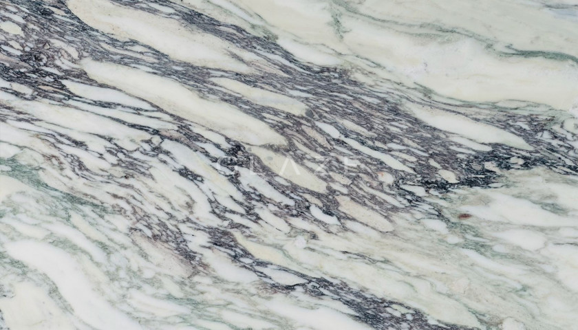 Calacatta Arni Viola