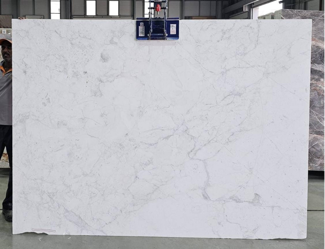 Aristona White