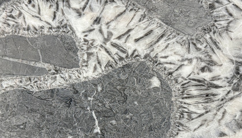 Patagonia Grey