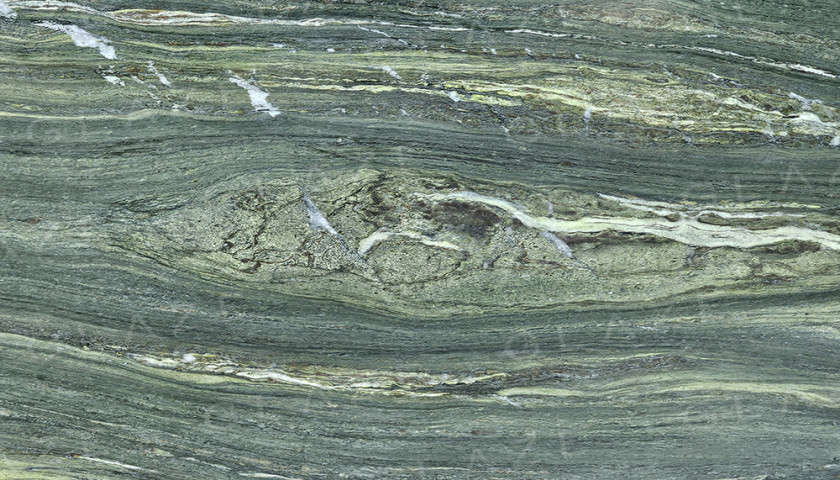 Algae Bloom
