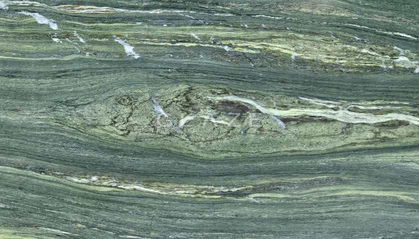 Algae Bloom