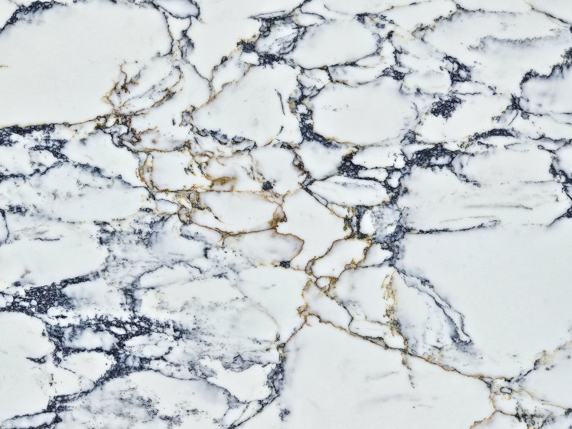 Quartz KOZO Capraia Rove