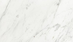 Aristona White
