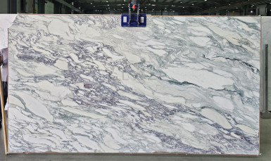 Calacatta Arni Viola