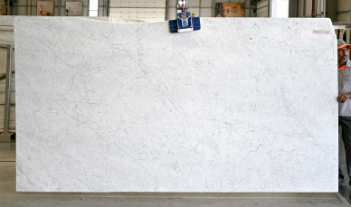 Carrara White
