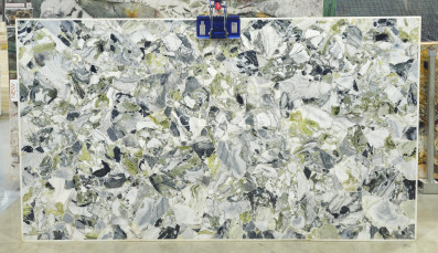 La Quadrifolio (White Beauty)