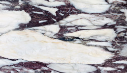 Calacatta Viola Europa