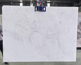 Aristona White