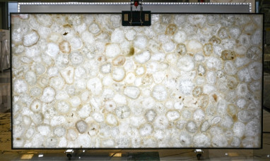 Precious Stone AGATE Jellyfish