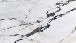 Breccia Capraia Nuovalato (Monet)