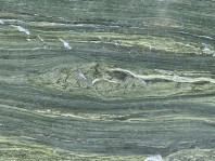 Algae Bloom