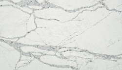 Quartz KOZO Silver Apuana