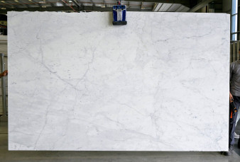 Bianco Michelangelo