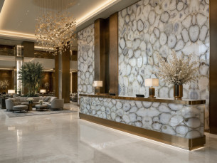 Precious Stone AGATE Platinum