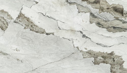 White Camouflage