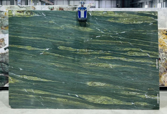 Algae Bloom