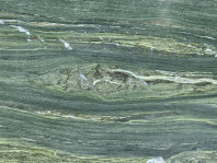 Algae Bloom
