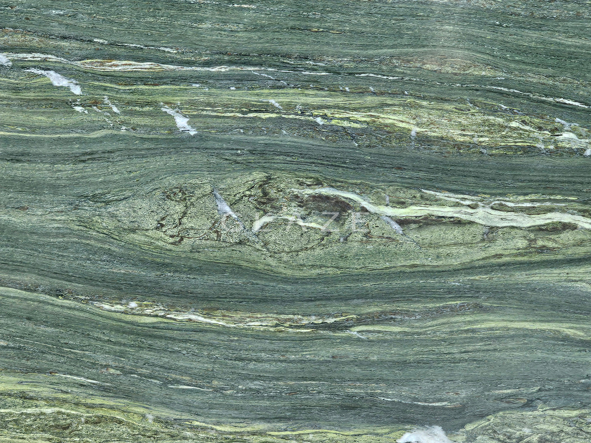 Algae Bloom